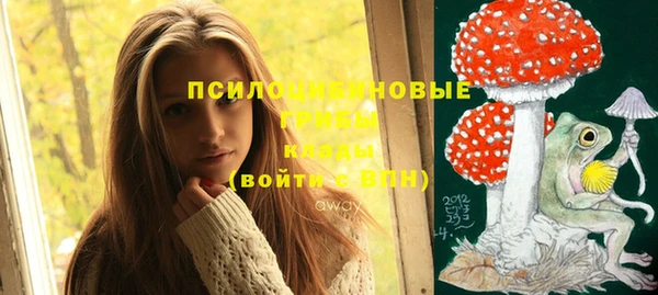 спиды Богданович