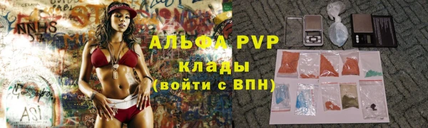 спиды Богданович