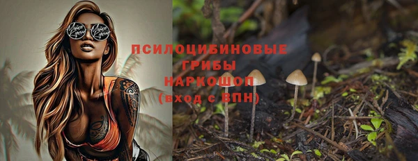 спиды Богданович