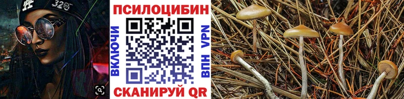 Галлюциногенные грибы GOLDEN TEACHER  наркошоп  Нелидово 